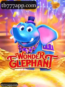 tb777 WonderElephant: Aventura de Apostas com Cassino, Slots e Esportes ao Vivo